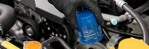 Get Subaru maintenance in the South Bay Area at Premier Subaru of Fremont
