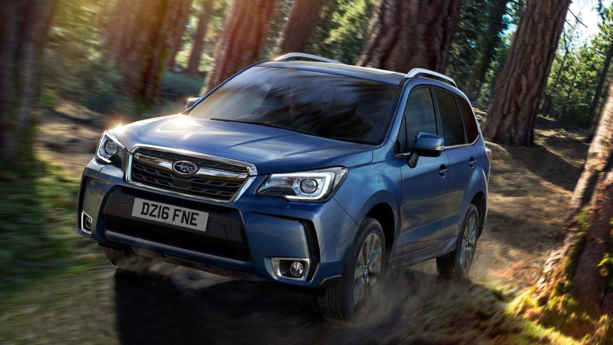 1forester.jpg