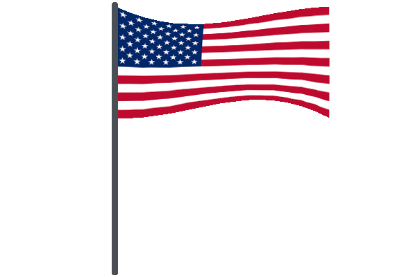 flag custom.png
