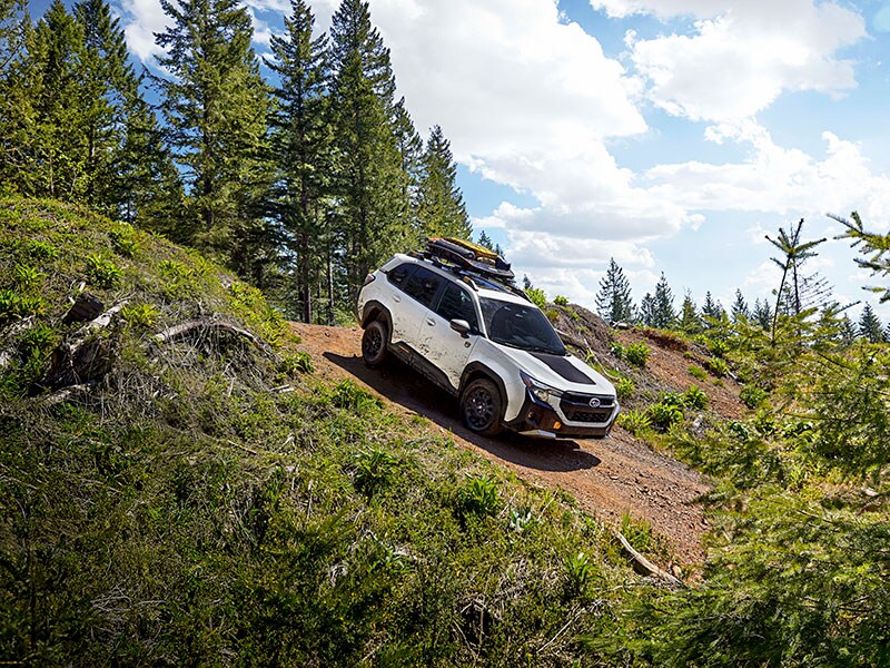 2026-subaru-forrester.jpg