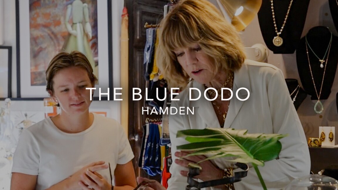 The Blue DODO from Hamden CT business profile image and video link