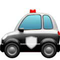 Police Car