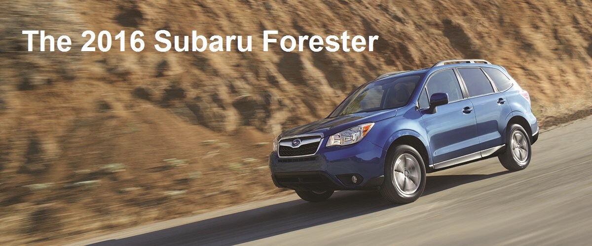 2016 Subaru forester scenic.png