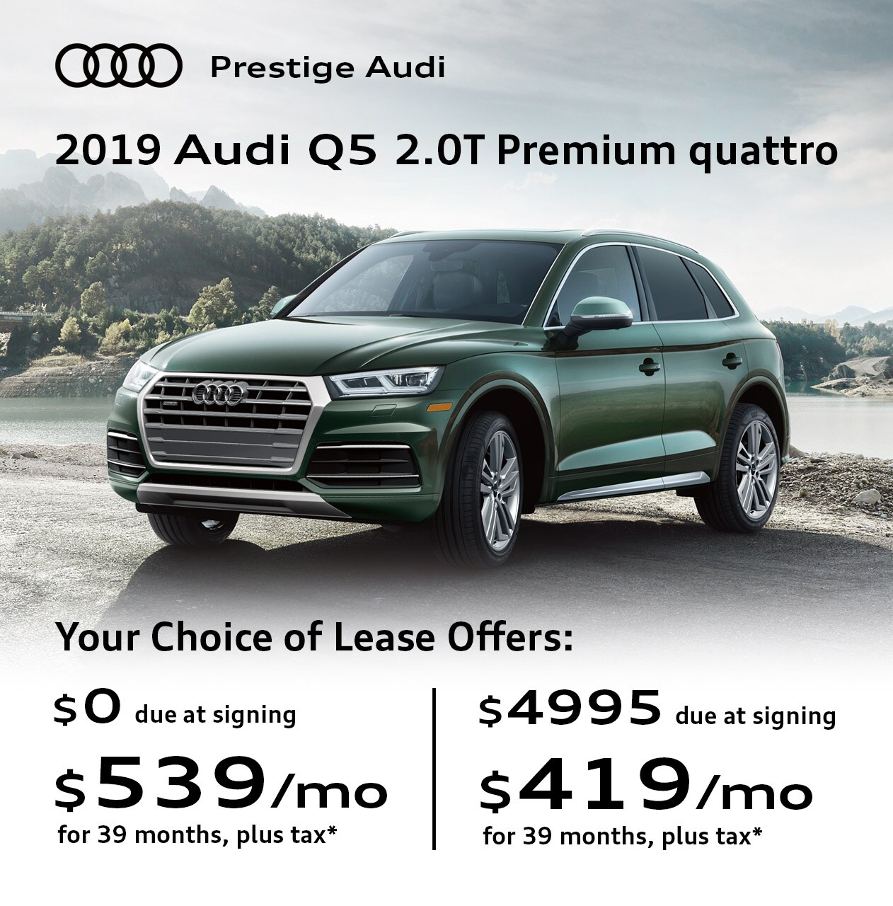 2019 Audi Q5