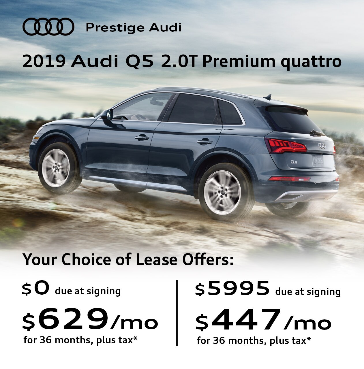2019 Audi Q5