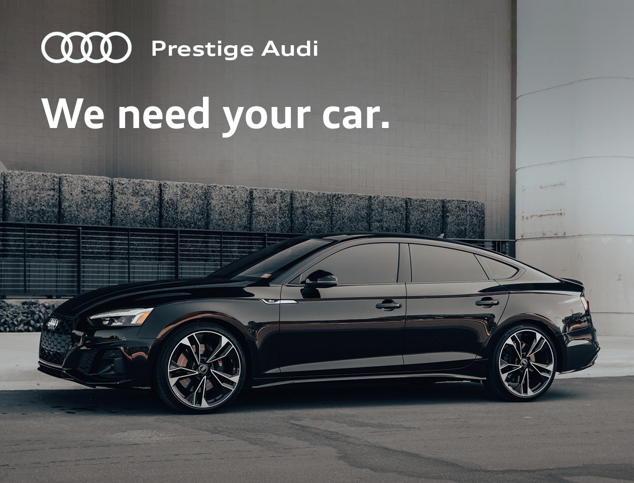 We Need Your Car - Audi S5 Sportback
