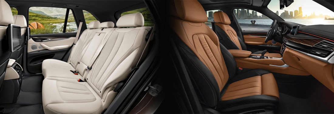 2017 BMW X5 and X6 Interior
