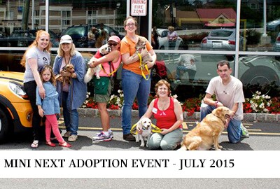 MINI Next adoption event at Prestige MINI