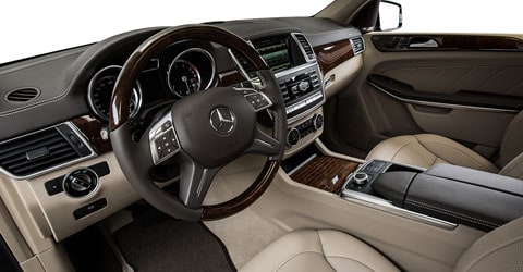Mercedes-Benz corporate fleet program