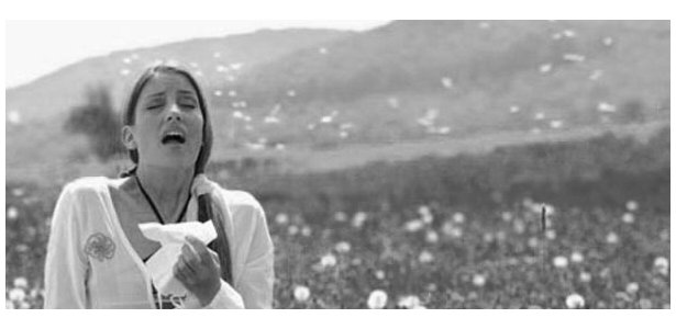 sneeze_b&w.jpg