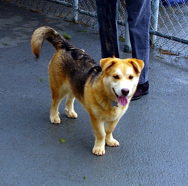 boomer_600x594.jpg