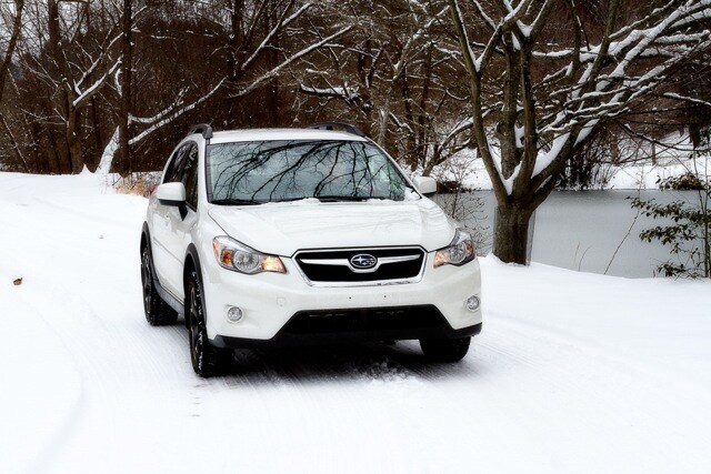 crosstrek_Tamara.jpg