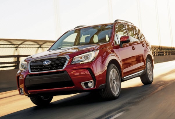 Subaru Forester NJ