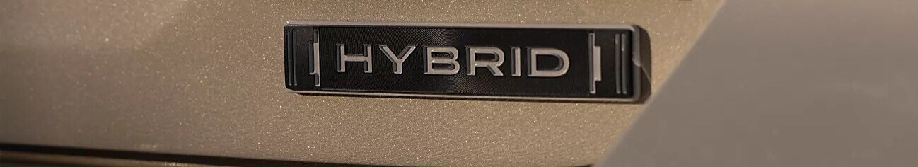 Hybrid image