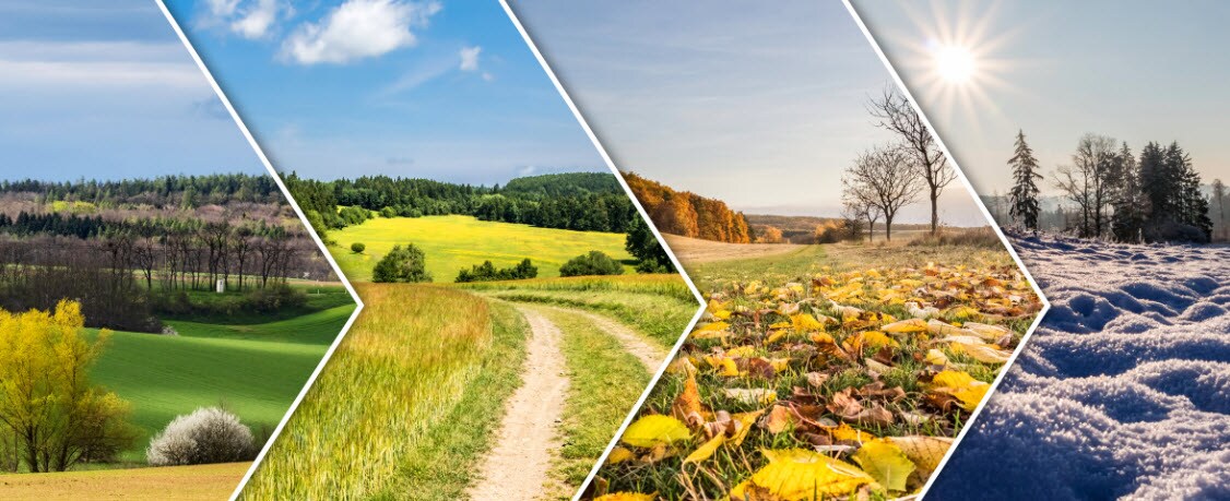 four seasons