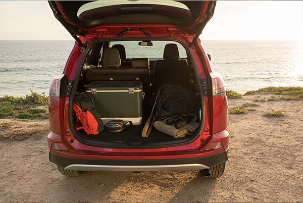 2017 Toyota RAV4 LE SUV