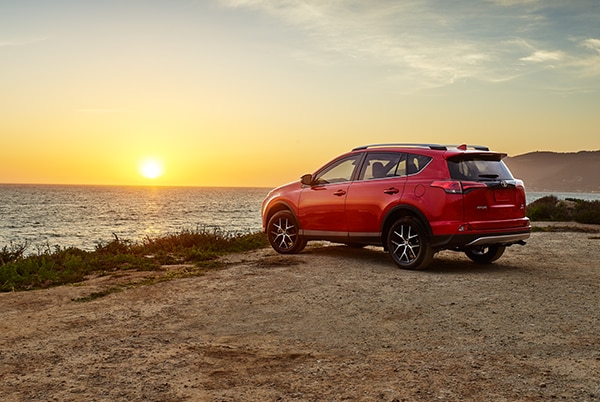 2017 Toyota RAV4 LE SUV