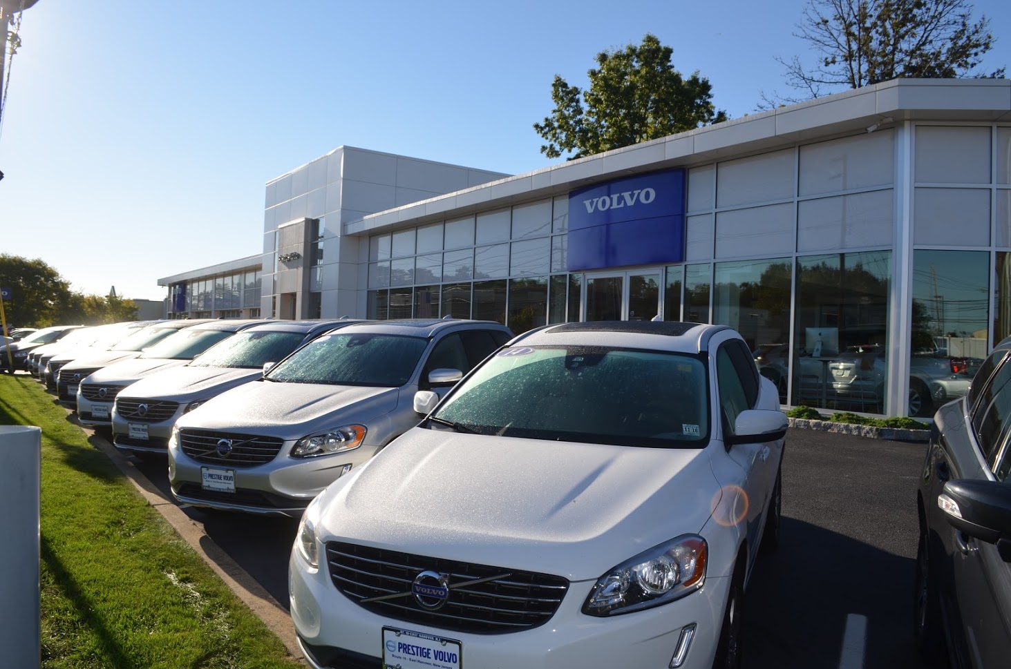 dealership