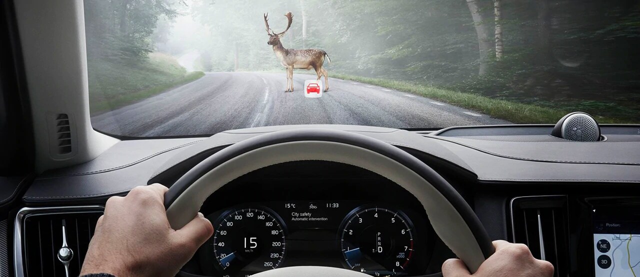 XC90 Safety