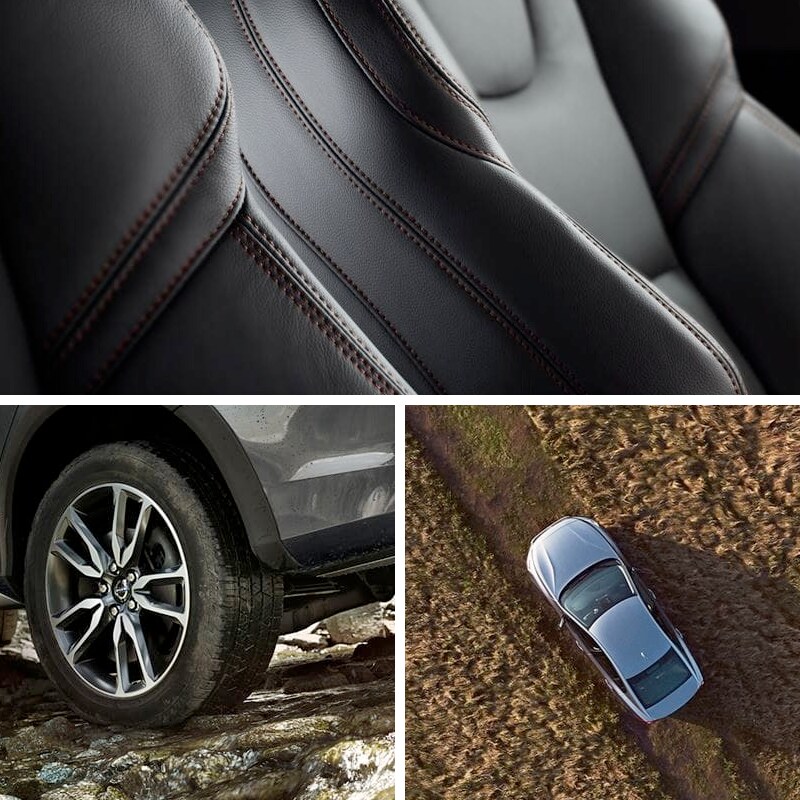 Cross Country Gallery Images