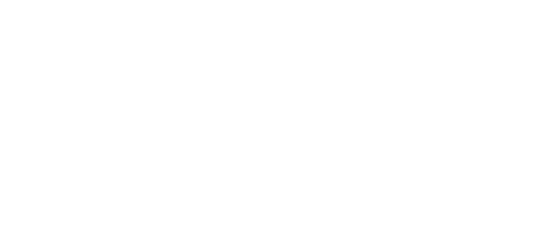 BlackFridaySales-White-Logo.png
