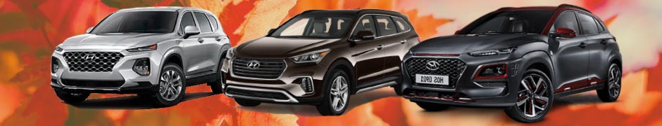hyundai-skinny-fall-banner.jpg