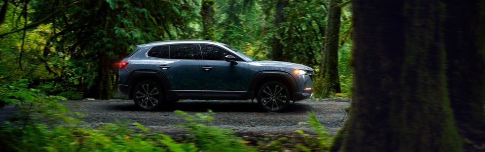 Quick Tips About Mazda vehicles | Prima Mazda Quick Tips About Mazda vehicles | Prima Mazda