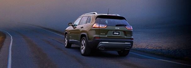 ADAPTIVE CRUISE CONTROL WITH STOP AND GO