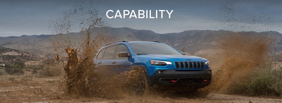 Capability