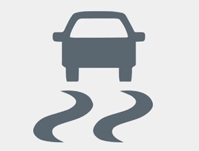 Electronic Stability Control