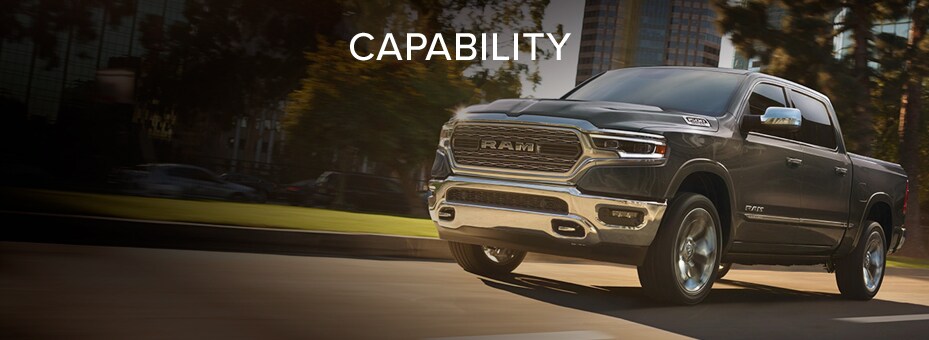 Capability
