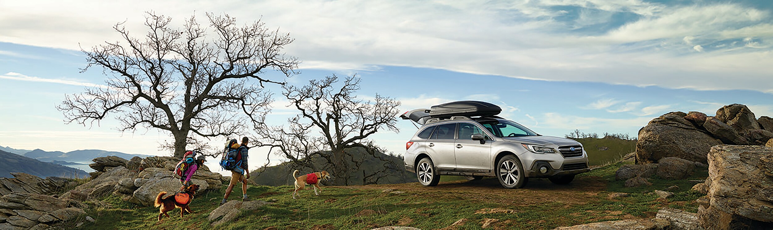 2019 Subaru Outback Exterior White.jpeg