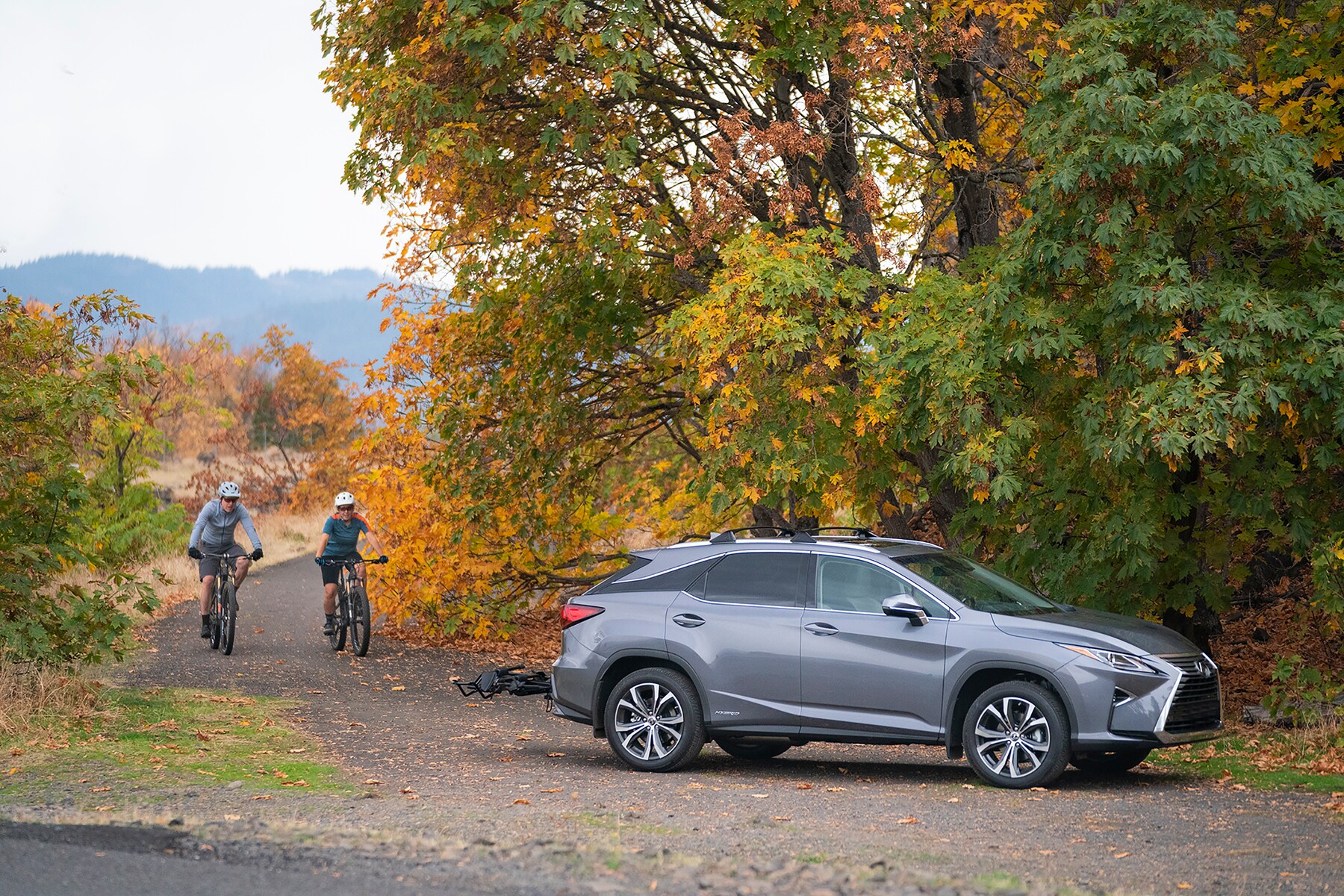 Lexus-Lifestyle-33.jpeg