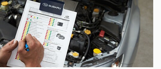 service checklist padding.png