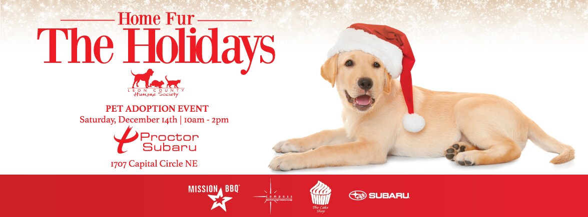 PS_HOME-FUR-THE-HOLIDAYS-2019-FB-EVENT-HEADER_NB_V02.jpg
