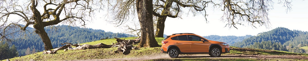 crosstrek2017a.png