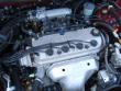 1996 Honda Accord EX dealer photo