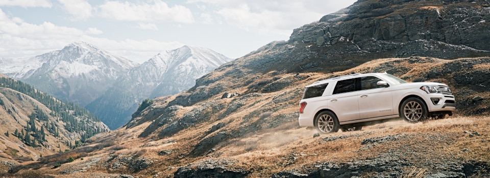 New Ford Expedition New Ford Expedition