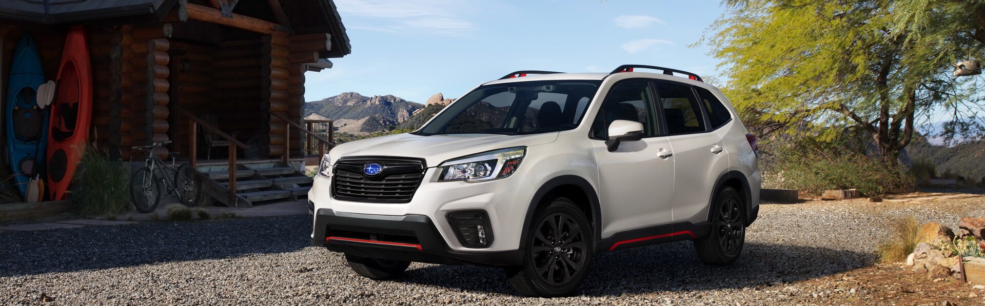 2019 forester.jpg