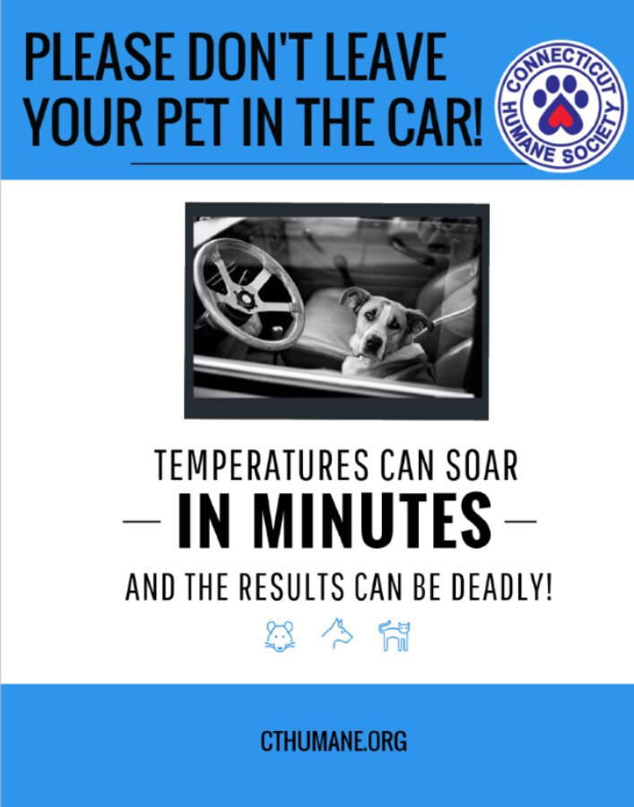 Don't leave your pets in a hot car Don't leave your pets in a hot car