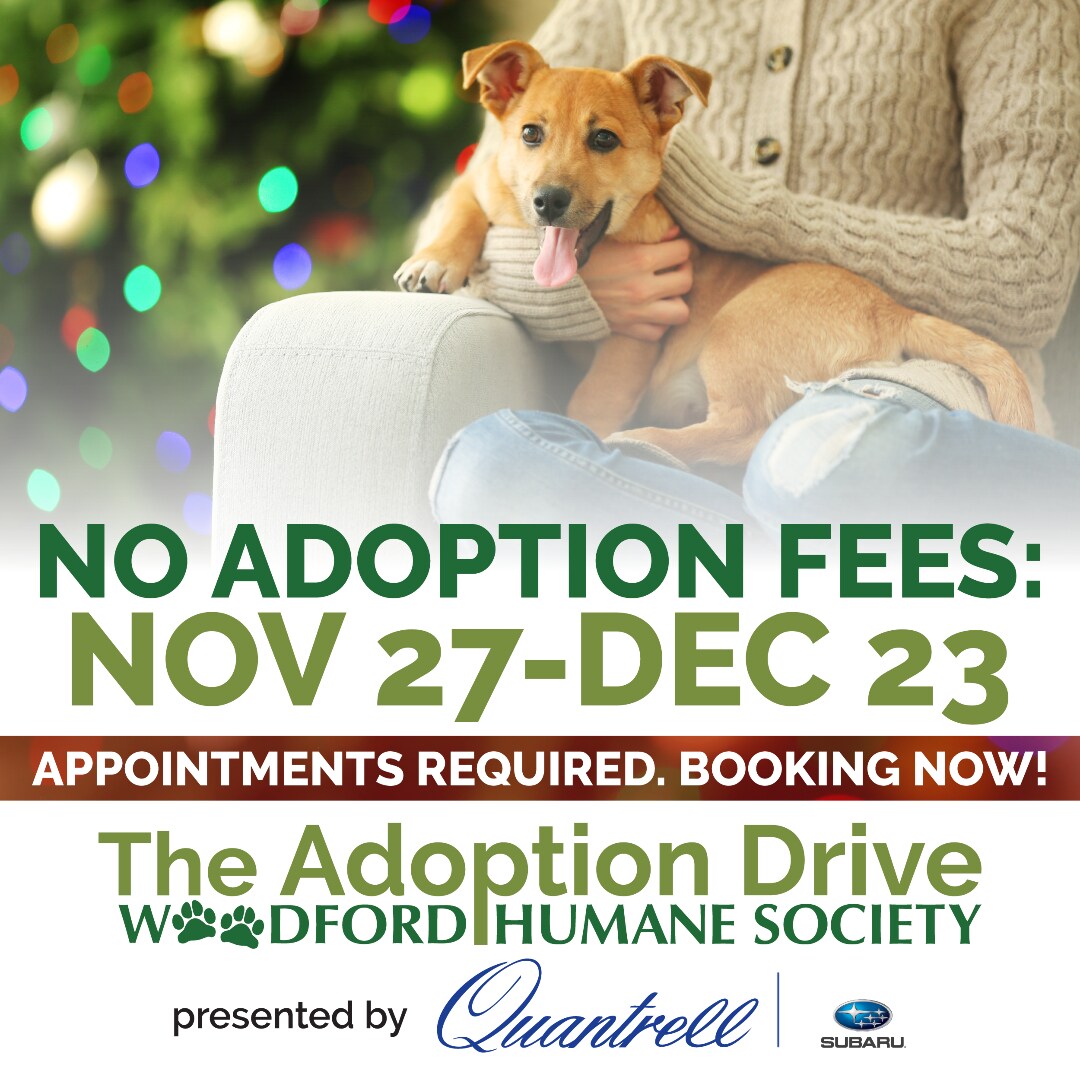 Adoption Drive-2020.jpg