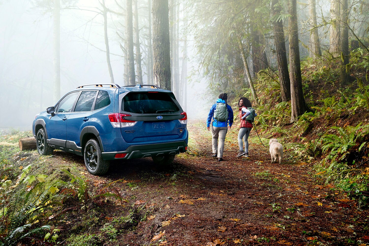 2024 Forester - Hike with the dog.png