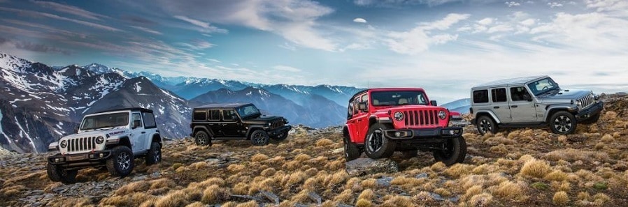 Jeep Wrangler line up.jpg