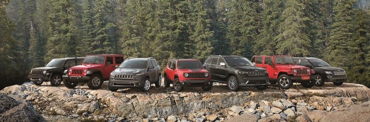Jeep Lineup in Gonzales