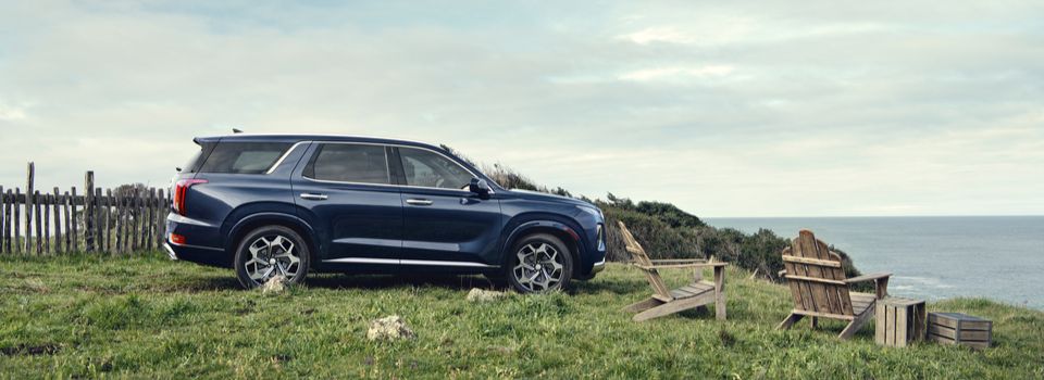 2021-Hyundai-Palisade-Caligraphy-SUV-L09 (2).jpeg