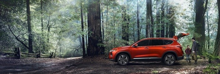 2019 Santa Fe Gonzales
