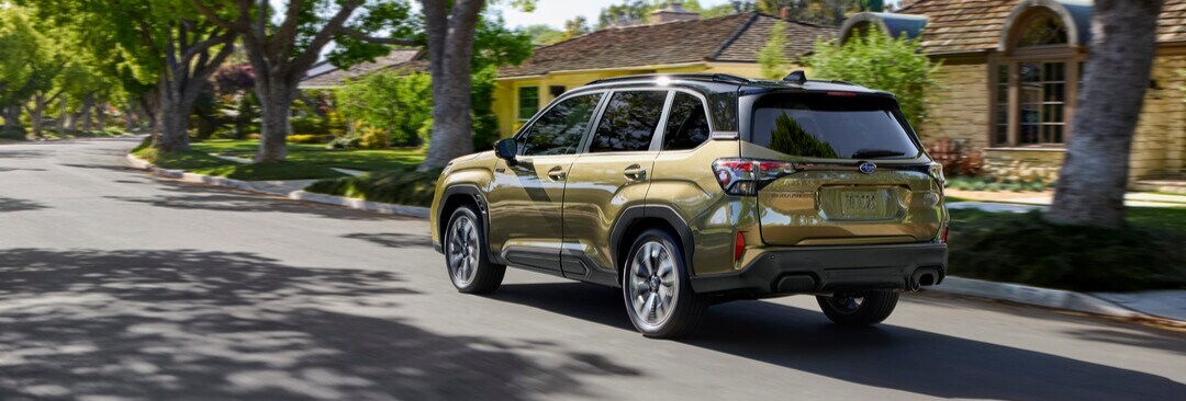Forester Hybrid
