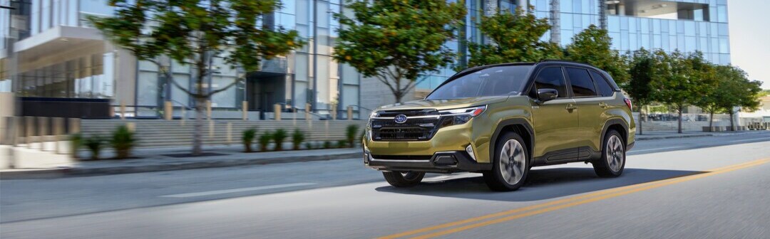 Forester Hybrid