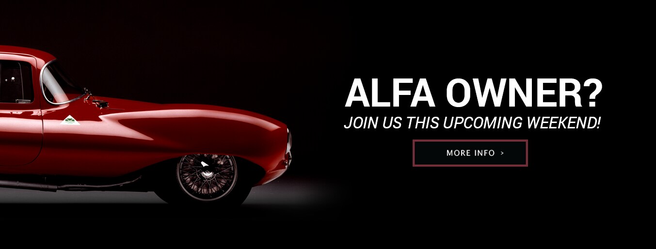 AlfaOwner-VLP.png
