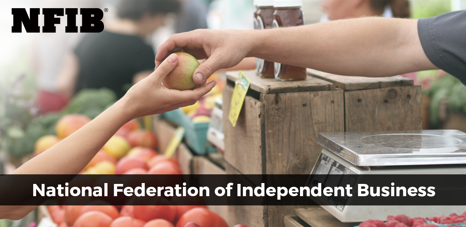 12NationalFederationofIndependentBusiness.png